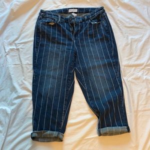 Lane Bryant denim capris